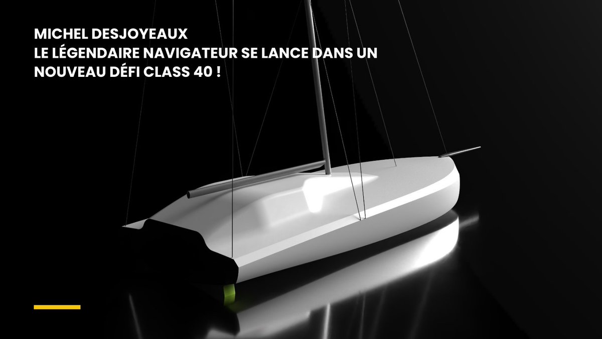 Catamaran Mer Agitée tweet media