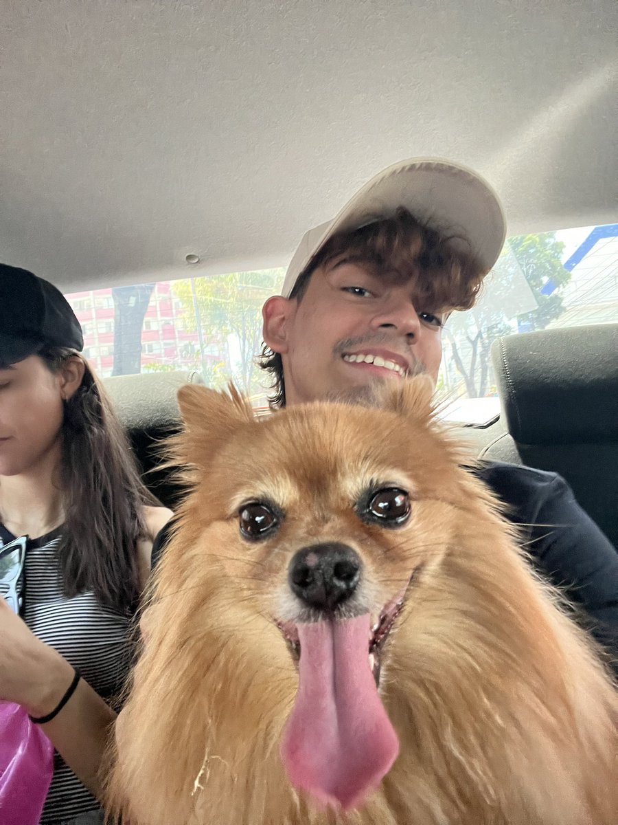 danielvimc's tweet image. Recife, até amei muito!