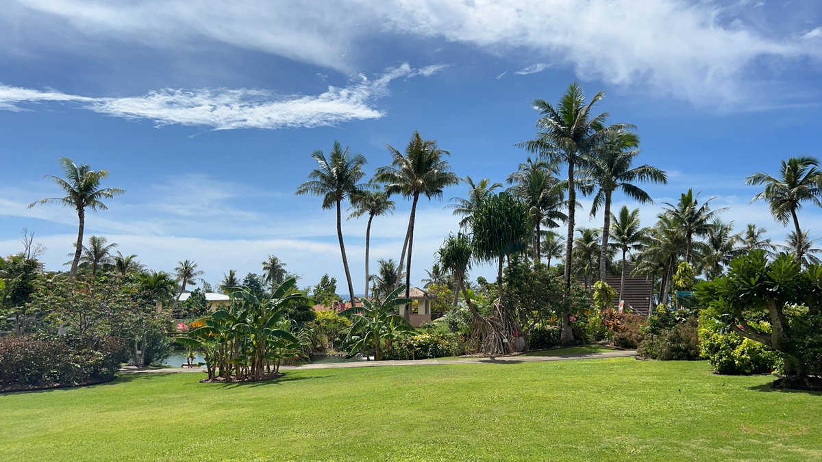 wang51363026's tweet photo. 海岛🏝️假期！ https://t.co/kT16d3prYQ
