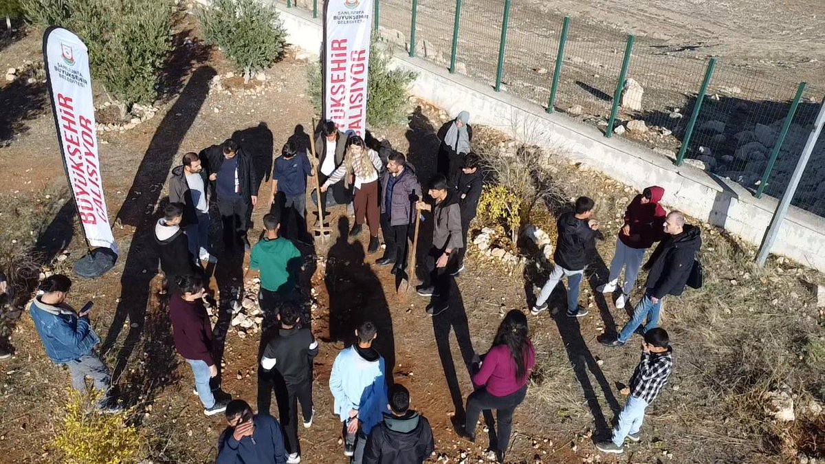 EyyubiyeM's tweet photo. Bugün güzel bir gündü. @sanliurfabld tarafından okulumuz bahçesine ve atölye çevresine tam 60 zeytin fidanı diktik. Belediyemize teşekkür ediyoruz.
@hasansildak 
@harrani63 
#70indedeolsanzeytindik. https://t.co/B8p5fGwzBK