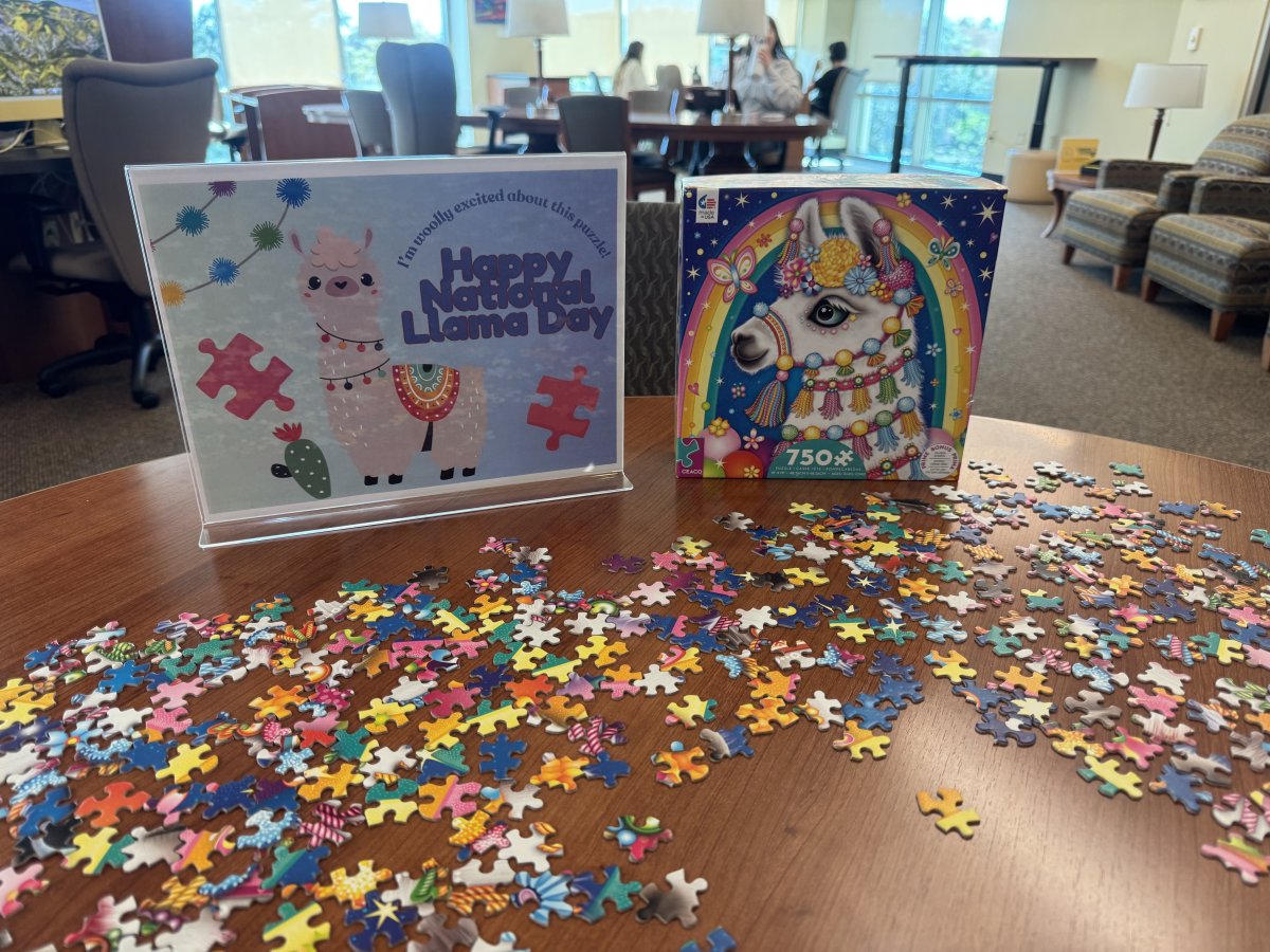 How are we celebrating #NationalLlamaDay? With stickers that have Library Llama’s face on it of course, and a llama-themed puzzle at our puzzle table. We hope you’ll come by the library to wish your favorite stuffed llama a wonderful day 🦙