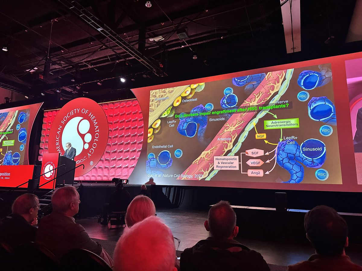 E. Donnall Thomas Lecture by Dr. Sean Morrison discussing hematopoietic stem cell maintenance #ASH24