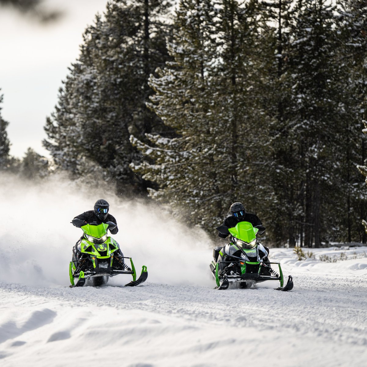 Catch me if you can 😉 

#ArcticCat #snow