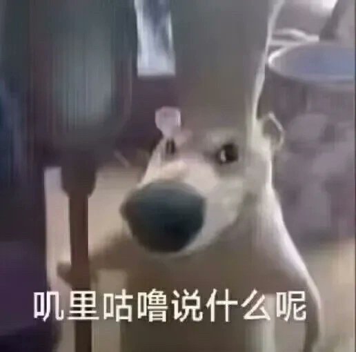 没事，发张图表示我还活着