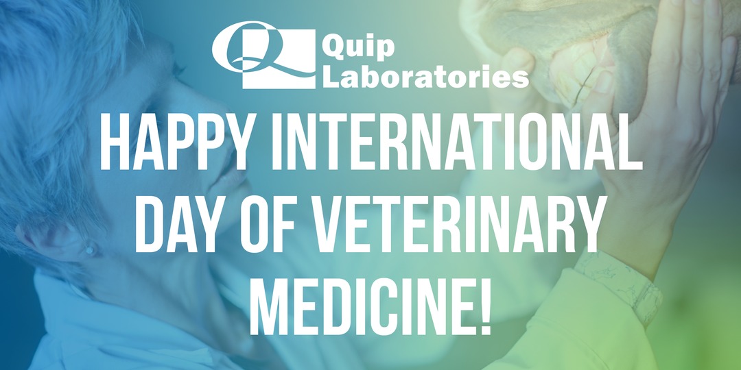QuipLabs's tweet photo. Happy #WorldVetDay! Today, we celebrate the veterinarians, researchers, and educators who dedicate their lives to advancing animal health. We’re excited to continue finding new ways to support your vital work in the coming year! https://t.co/R3NqTiTNek