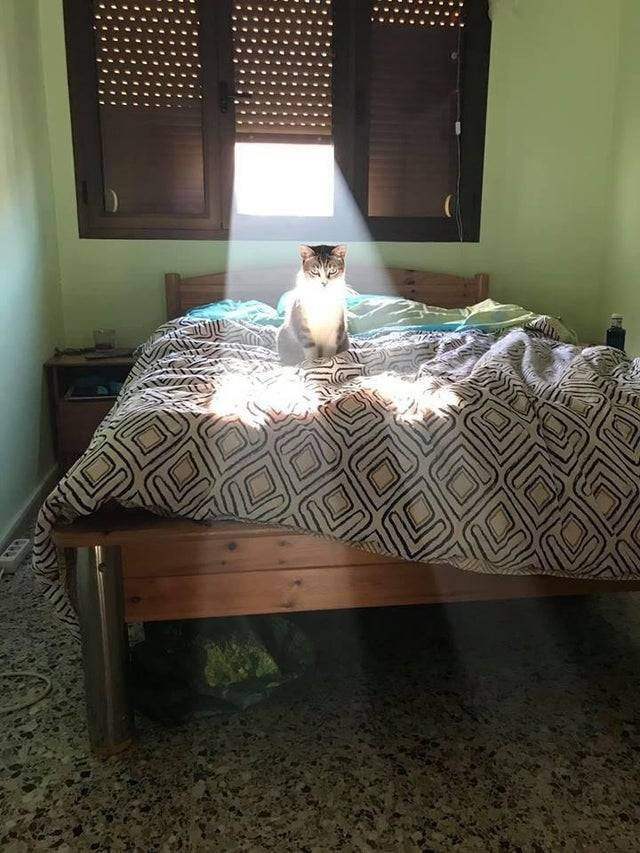 The sun shines on the meritorious.