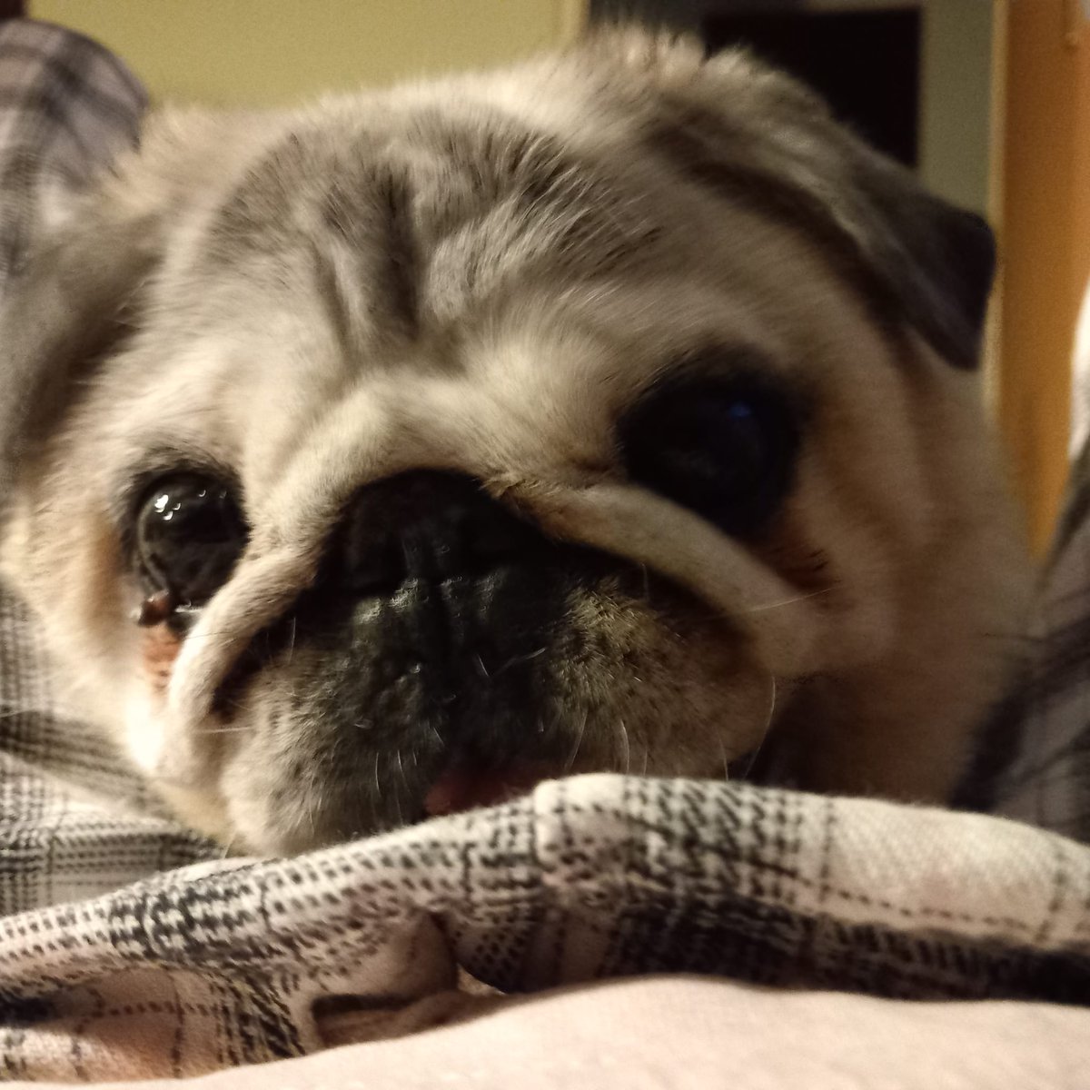 Hallo Freunde! Wie geht es Euch? 
Hab Euch lieb!❤️❤️❤️