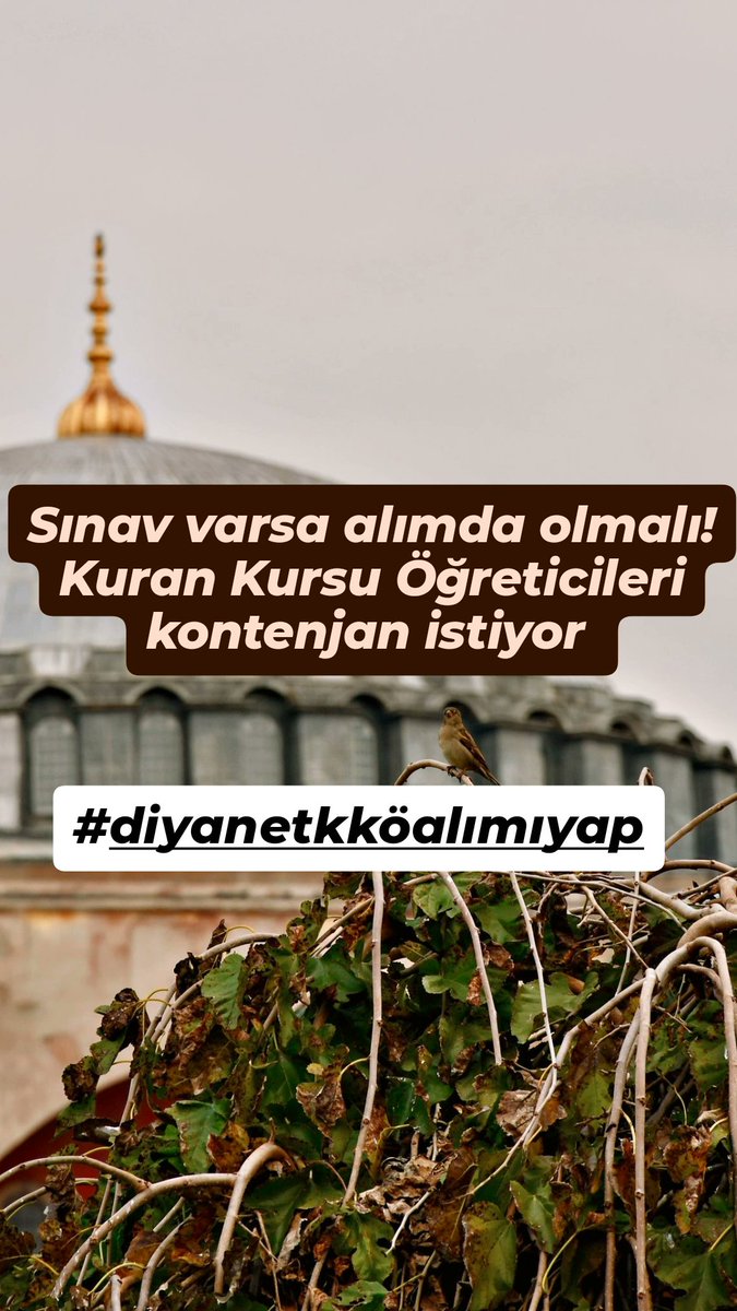 ruveyda_kptn's tweet photo. kuran kursu öğreticileri sadece öğreten değil aynı zamanda hayatlara dokunan rehberlerdir kadrolarımızı talep ediyoruz #diyanetkköalımıyap

@DIBAliErbas @RTErdogan @dinckadir43 @DIBMehmetGormez
@hakanhanozcan @OsmanGokcek_ @IsliyenDr @akpusmaz @akbulutsedide
@kademorgtr @Akparti https://t.co/NfLaFxpkk2