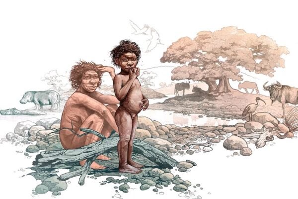 Homo sapiens’in iki eski akrabası olan Homo erectus ve Paranthropus boisei’nin yolları 1,5 milyon yıl önce kesişmiş olabilir mi?

✍🏻 Prof. Dr. Murat Türkeş

gundemarsivi.com/homo-sapiensin…