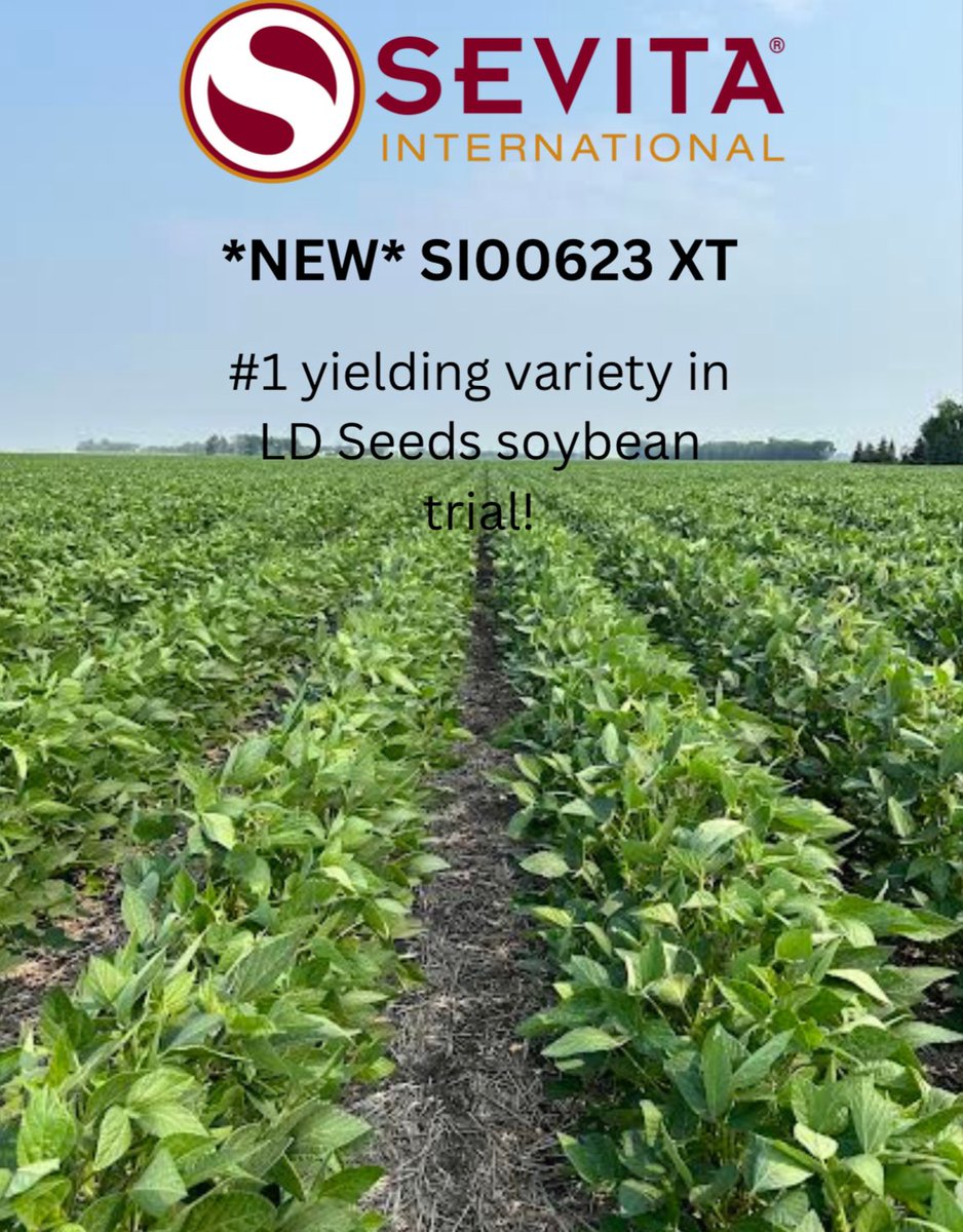 Product highlight! New variety from <a href="/SevitaWest/">Sevita Soybean</a> 
This mid-late maturing variety will be one to keep your eye on for the 2025 season! Excellent yield potential with a strong disease package!