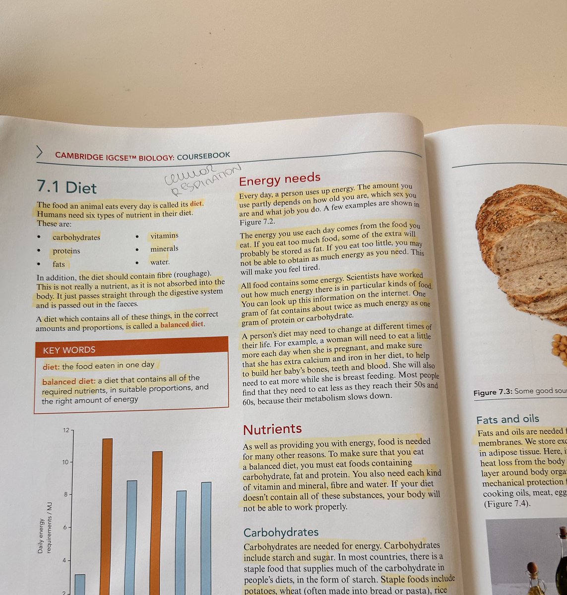 lollunchtime17's tweet photo. Omg eating science class up https://t.co/1bkiG4Y2v0