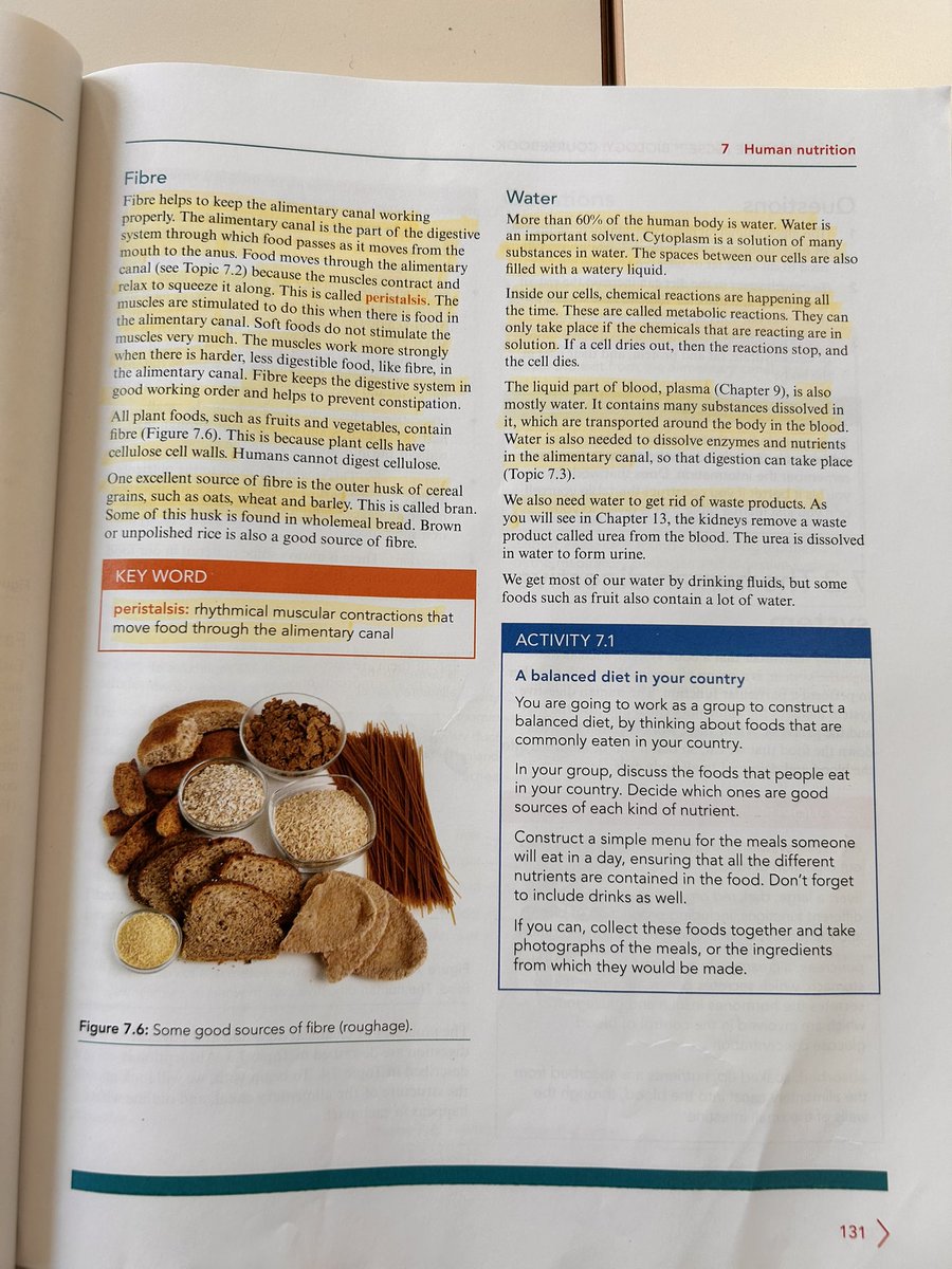 lollunchtime17's tweet photo. Omg eating science class up https://t.co/1bkiG4Y2v0