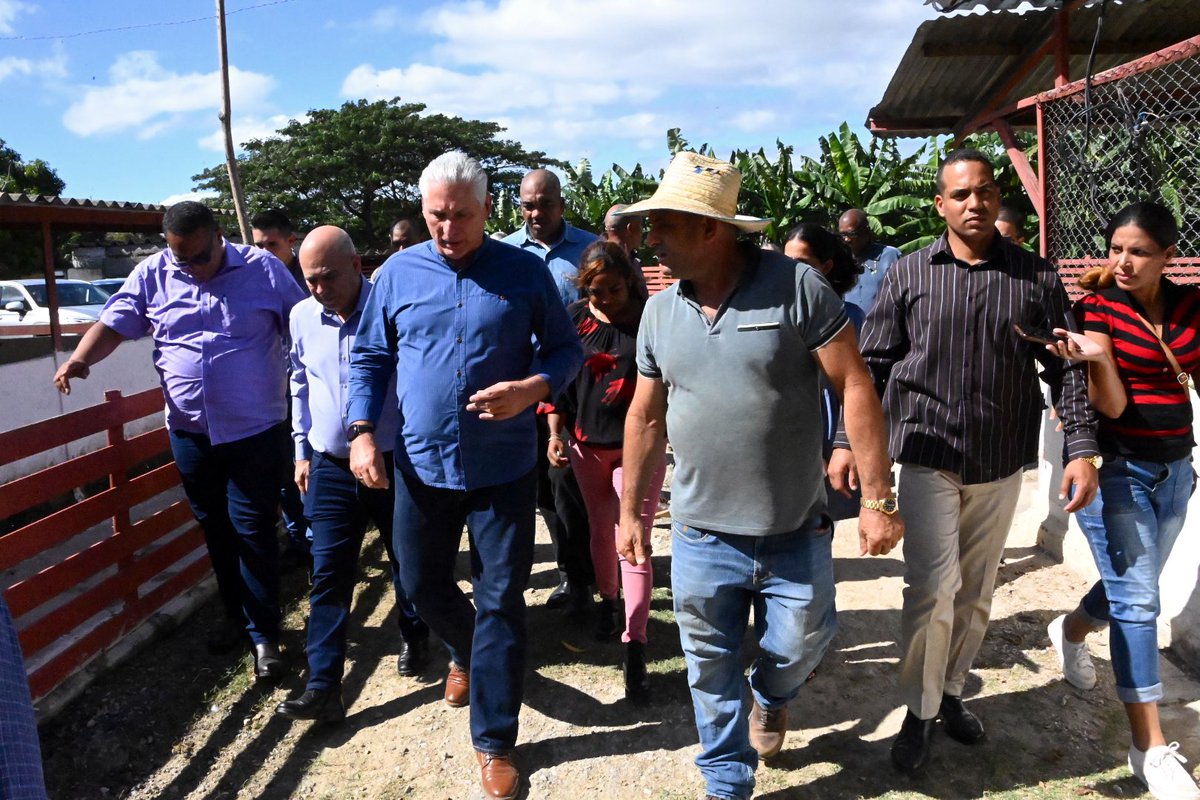 <a href="/DiazCanelB/">Miguel Díaz-Canel Bermúdez</a> 🌱| En el último punto de su visita a Guantánamo, el mandatario recorrió la finca del productor Pedro Monier López, perteneciente a la Empresa Agroindustrial Municipal.