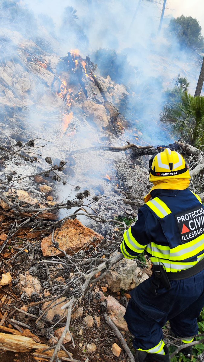 AjAndratx's tweet photo. #ifAndratx EXTINGUIDO✅, 70ha quemadas.

Gracias a los 160 efectivos de Ibanat, Emergencies, Bombers de Mallorca, Policía Local, Guardia Civil, SAMU061, Protección Civil Municipal y de otros municipios de la isla y brigada municipal por la gran labor realizada y coordinada. https://t.co/gm7VuiAYXC