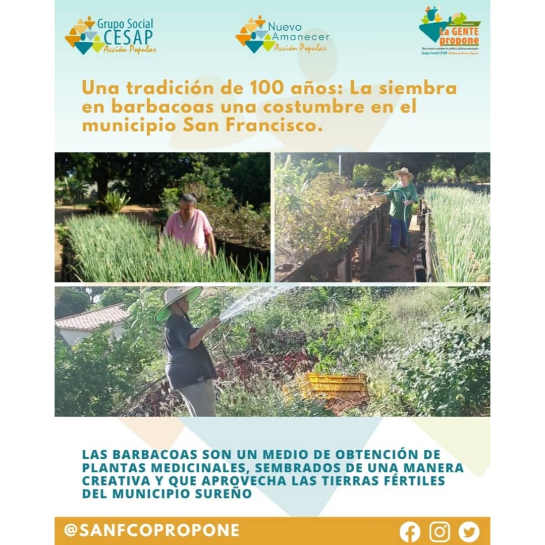 Sanfcopropone's tweet photo. El Observatorio de Políticas Públicas Municipales La Gente Propone Te invita a leer esta nota especial dedicada a "Una Tradición de 100 años" en el municipio San Francisco del Estado Zulia.

#LaGentePropone #SomosCesap #50añosdeacciónpopular https://t.co/u9J8wC28ac