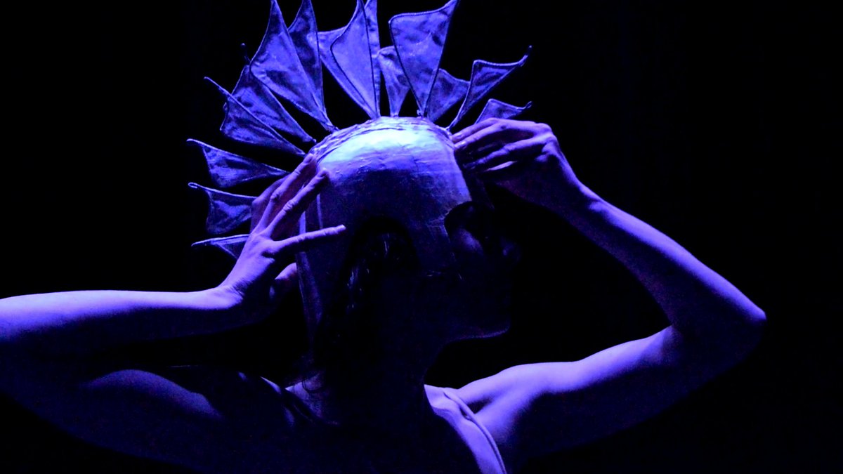 sceneweb tweet media