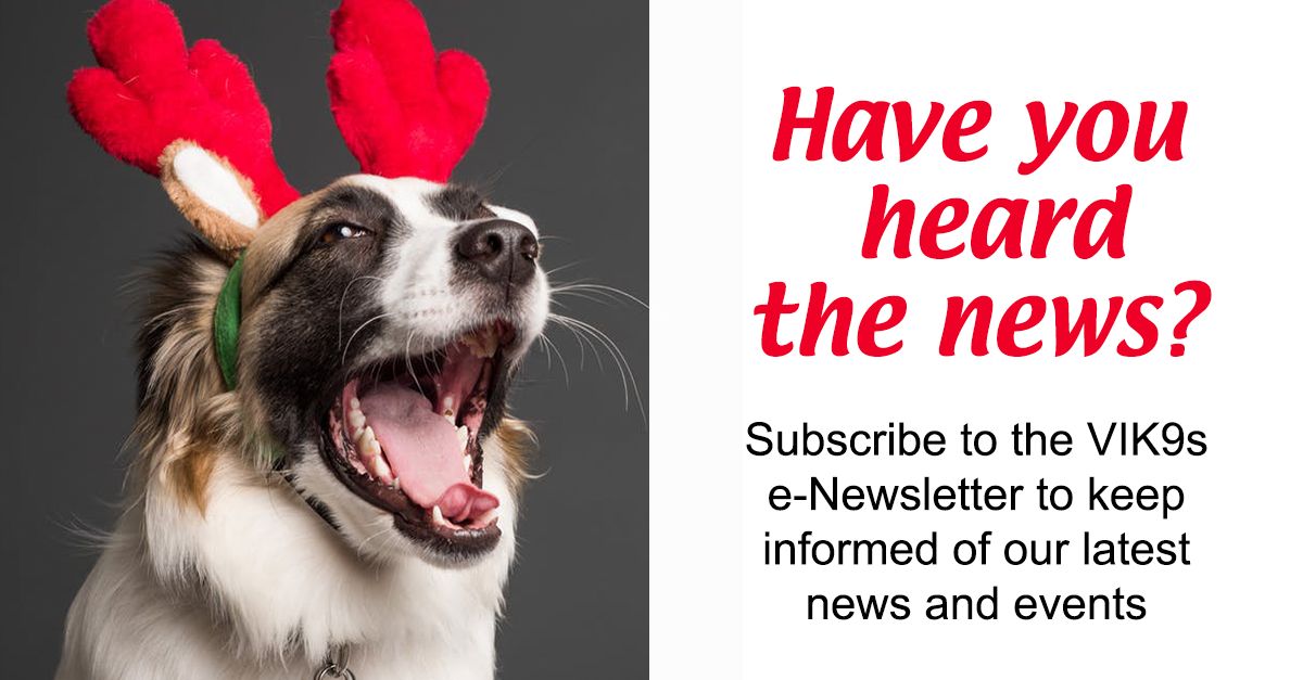 VIK9s's tweet image. Get the latest VIK9s news and announcements along with K9 Officer Interviews featuring our amazing Calendar Celebrity Teams and more!
list.robly.com/subscribe?a=aa…
#VIK9sNewsletter #K9Team #K9Handler #VIK9s #VestedInterestInK9s