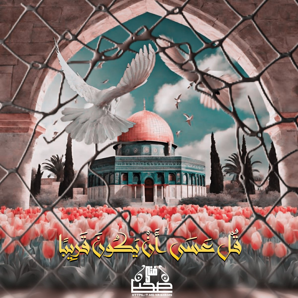 وفي قلب الجزيرة العربية، تنبض صنعاء وعدن وكل مدن اليمن بوفاءٍ عظيمٍ لفلسطين، هذا الوفاء الذي يتجسد في كل هتاف، في كل دعاء، وفي كل يدٍ تُمد رغم جراحها. اليمن، رغم ما يمر به من معاناة، يبقى وفيًا لفلسطين، يكتب للعالم درسًا في الإخاء والتلاحم العربي الحقيقي، أن النضال لا يعرف الحدود