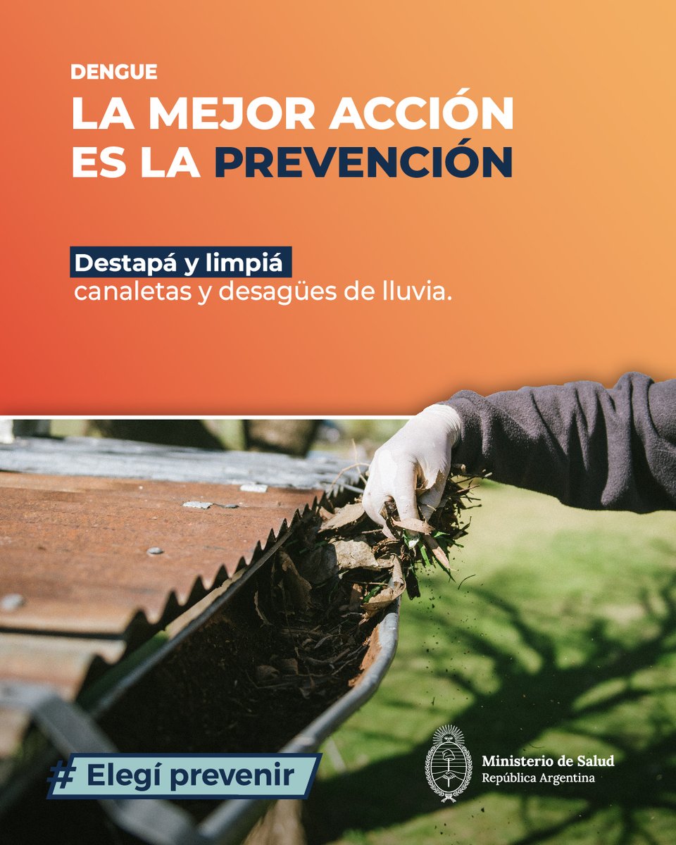 🦟 DENGUE:

🍃 Mantené limpias las canaletas y los desagües de lluvia. Así evitamos que el agua se estanque y se reproduzcan los mosquitos.

💧 La acumulación de agua es el ambiente propicio para el mosquito transmisor de esta enfermedad.

#ElegíPrevenir