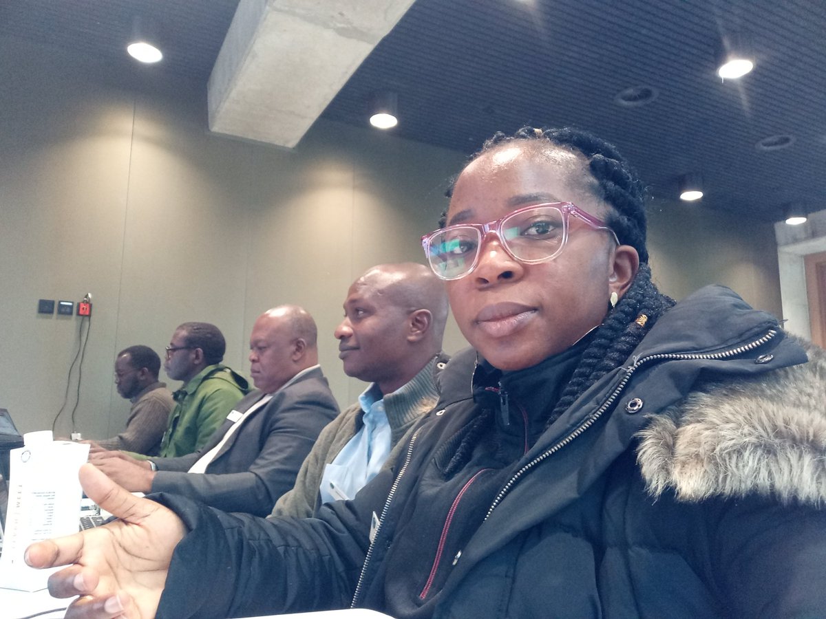 Chidimma C Maduka tweet media