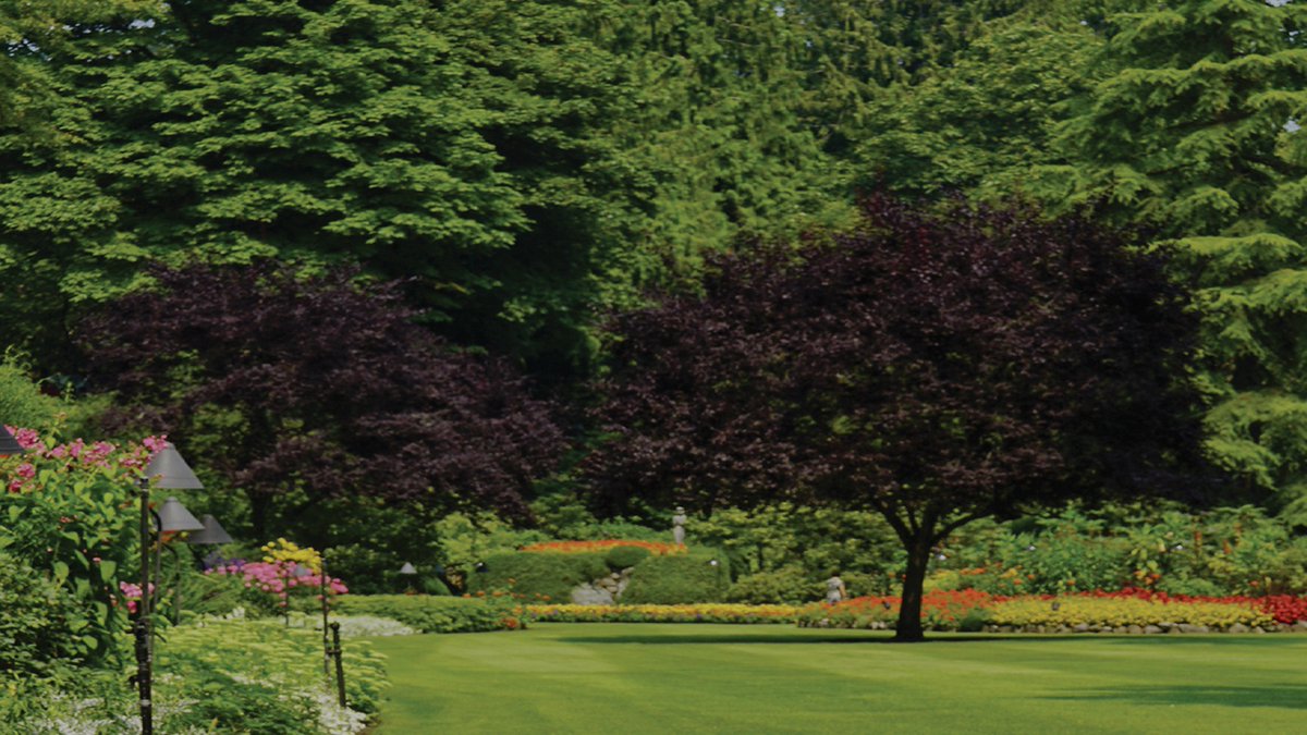 SyngentaTurf's tweet photo. Great things come in small packs! ✨
Explore professional lawn solutions from products like #Acelepryn and #Barricade available in a variety of small packaging sizes designed to fit your needs.
Find your fit: https://t.co/yUGCTNn2uC https://t.co/9zvQDsyB8O