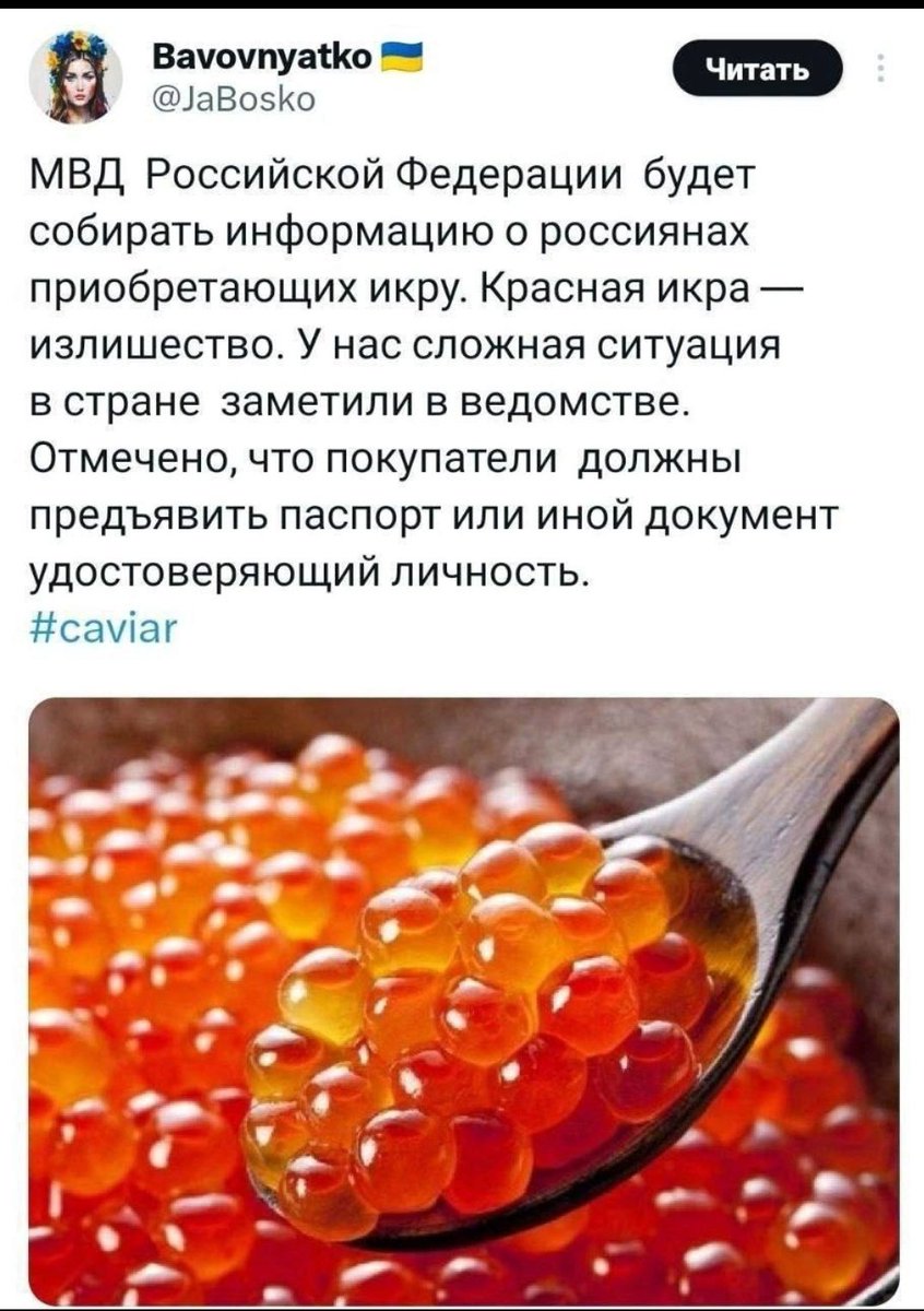 Natali Davydova tweet media