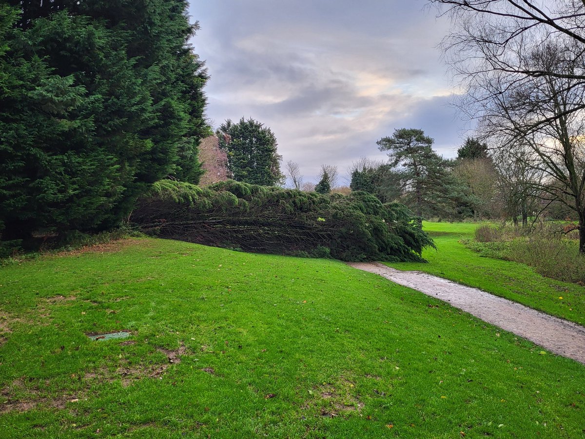 Ely City Greenkeeping Team tweet media