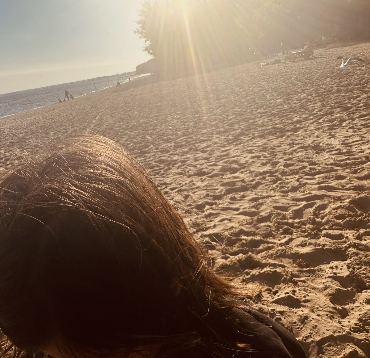 itake5core5's tweet image. 