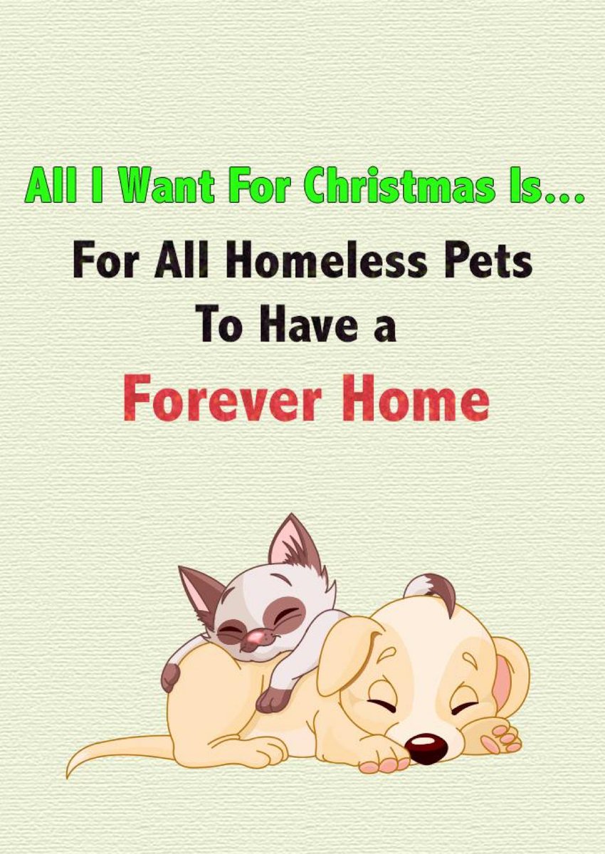 Vivan_00's tweet photo. https://t.co/Ty3xQW6uYr