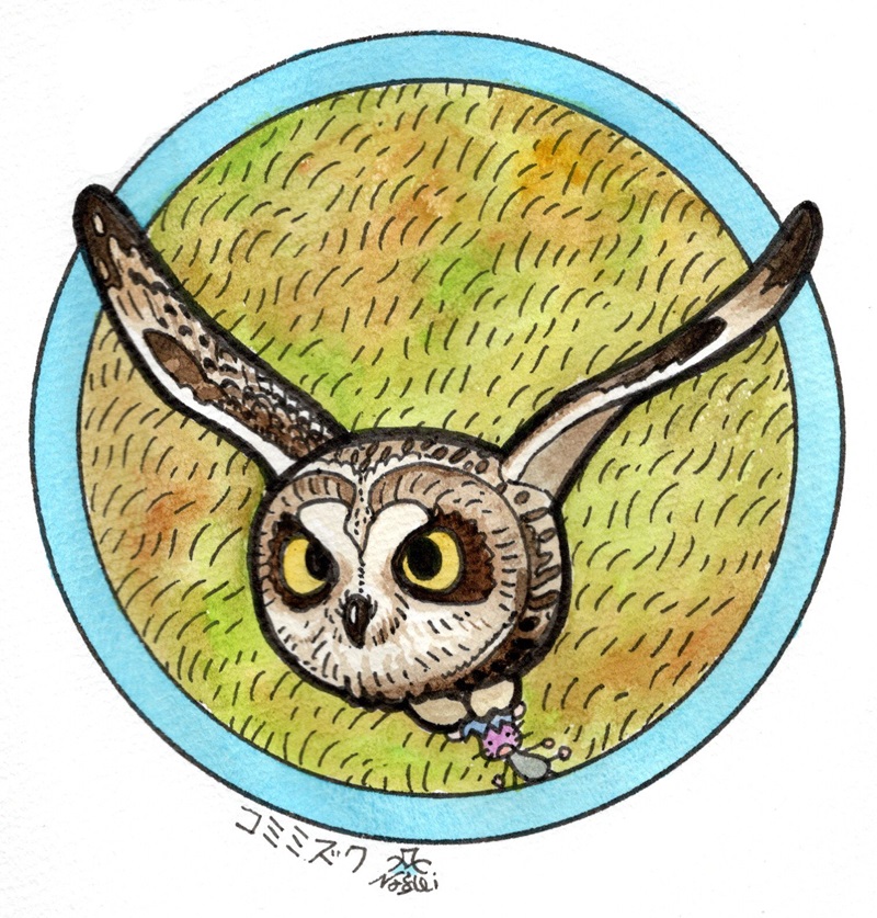「缶バッジ・リクエストのあったコミミズク 」|富士鷹なすびのイラスト