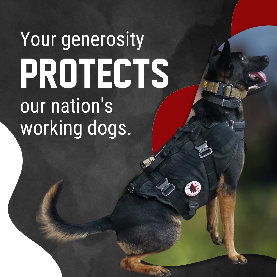 Spikesk9fund's tweet image. A monthly donation helps provide protective gear, medical treatment &amp;amp; training for working K9s! 🐺

🐾 $5 a month provides a K9 trauma kit.

🐾 $25 a month sponsors critical training at #SpikesSchool.

🐾 $100 a month helps fund life-saving heat alarms.

🐾 $250 a month helps to…