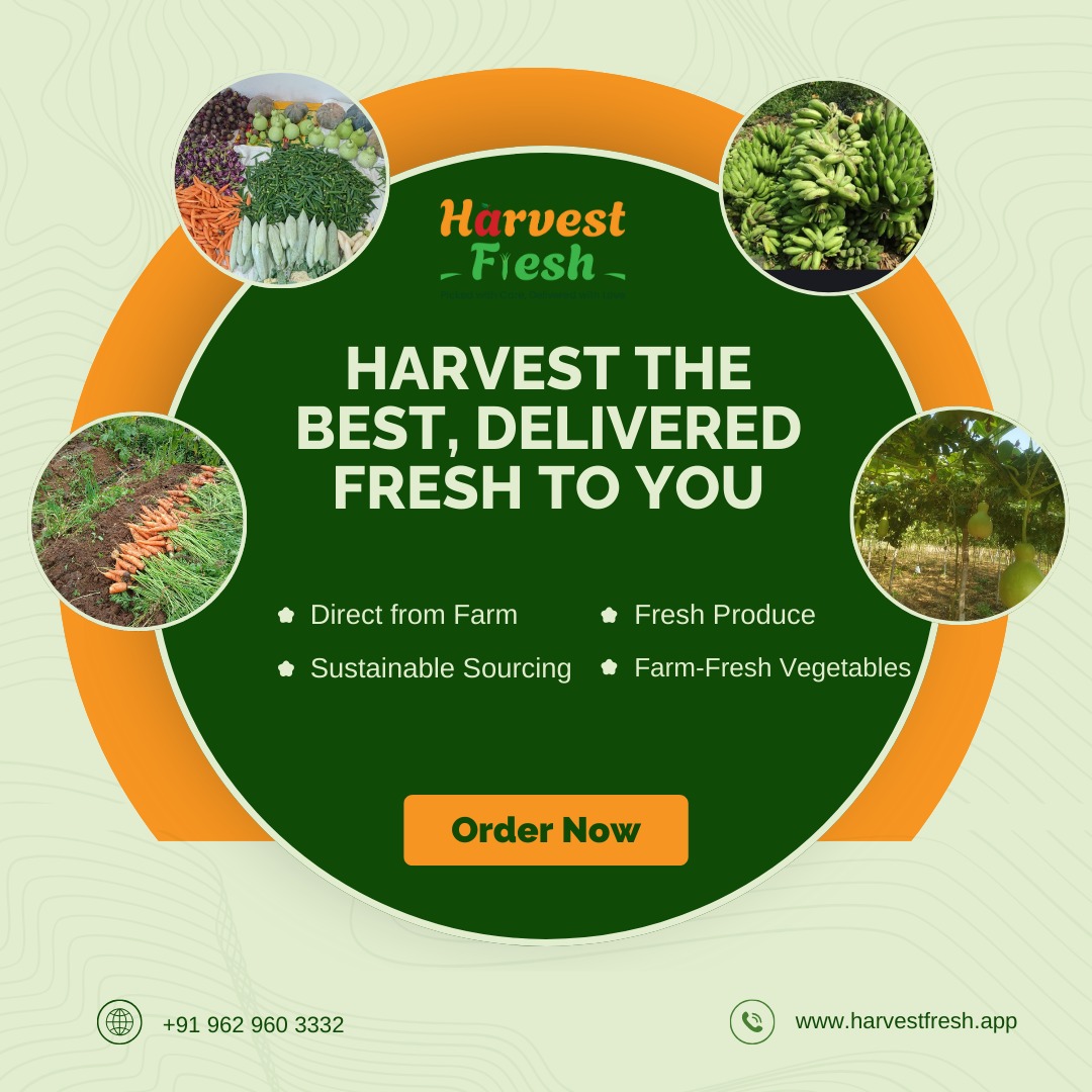 HarvestFresh2dg's tweet photo. Nourish your body, naturally. 🌿 Taste the difference of farm-fresh produce. 🍅🥦🥕 Download the Harvest Fresh app and get fresh produce delivered to your door. 📲 #HarvestFresh #OrganicVegetables #HealthyEating #LocalProduce https://t.co/8RoaeqaVXT