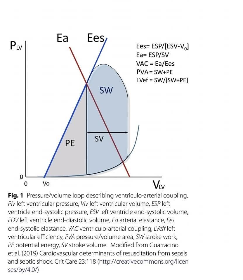 LeslieMegom's tweet photo. 💥⚡️🫁🫀Implicaciones fisiopatológicas del acoplamiento ventriculoarterial en el shock séptico📣
*Pinsky-Guarracino
👇👇👇👇👇
https://t.co/m18ucoocGs
🔑🔓
https://t.co/K9JcFD9JJQ https://t.co/oZvHpcYHIz