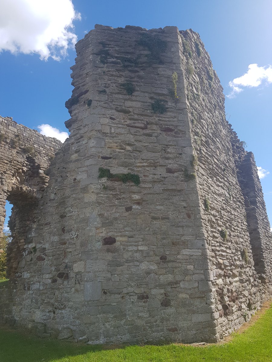 TheHistoryMouse's tweet photo. Mouse didn't expect #ChristchurchInDorset to have an actual castle! It's got a great tower, its own motte and used to have a moat too #ChristChurchCastle #TheGreatTower (1/2) https://t.co/pbBO6TCQJt