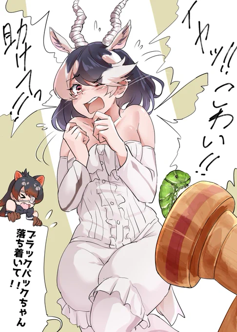 黒龍さんの診察を受けて以来ホワイトになりすぎたホワイトバッ……ブラックバック団長 