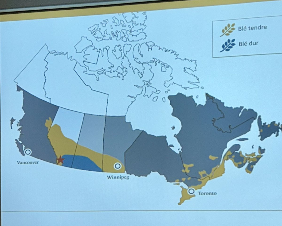 IsabelleValois6's tweet photo. Today was the presentation of 
🇨🇦 2024 durum wheat harvest
organized by #IFIM &amp; #FNM. 
🇲🇦🇨🇦agricultural partnership  continues to flourish! 
👉 DYK that in 2023, durum wheat exports to 🇲🇦 reached a record high of nearly 3.57 B MAD (CAD$ 450 millions)? . #Agriculture #trade
🇲🇦🤝🇨🇦 https://t.co/fdgwhVpqVw