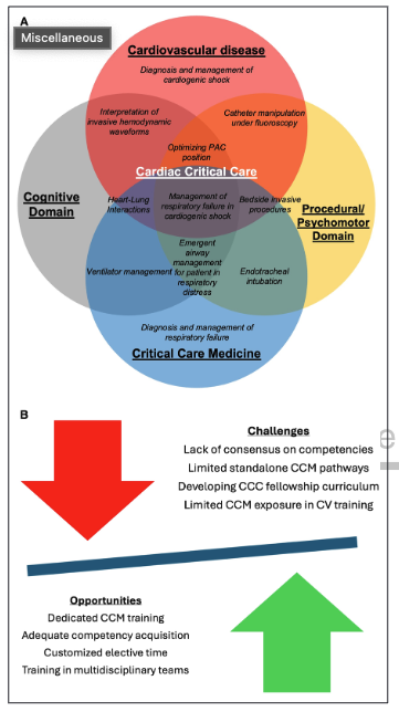 Saraschandra Vallabhajosyula, MD MSc (@sarasvallabhmd) on Twitter photo As we start formalizing training milestones in #CriticalCareCardiology, <a href="/WApplefeld/">Willard Applefeld MD</a>, #JakeJentzer, and I discuss procedural and cognitive competencies in the #CICU published in <a href="/CircHF/">Circ: Heart Failure</a> - ahajournals.org/eprint/V8WUGGB…. <a href="/BrownMedicine/">The Warren Alpert Medical School</a> <a href="/BrownCardiology/">Brown Cardiology Fellowship</a> <a href="/DukeHealth/">Duke Health</a> <a href="/MayoClinicCV/">Mayo Clinic CV</a> As we start formalizing training milestones in #CriticalCareCardiology, <a href="/WApplefeld/">Willard Applefeld MD</a>, #JakeJentzer, and I discuss procedural and cognitive competencies in the #CICU published in <a href="/CircHF/">Circ: Heart Failure</a> - ahajournals.org/eprint/V8WUGGB…. <a href="/BrownMedicine/">The Warren Alpert Medical School</a> <a href="/BrownCardiology/">Brown Cardiology Fellowship</a> <a href="/DukeHealth/">Duke Health</a> <a href="/MayoClinicCV/">Mayo Clinic CV</a>