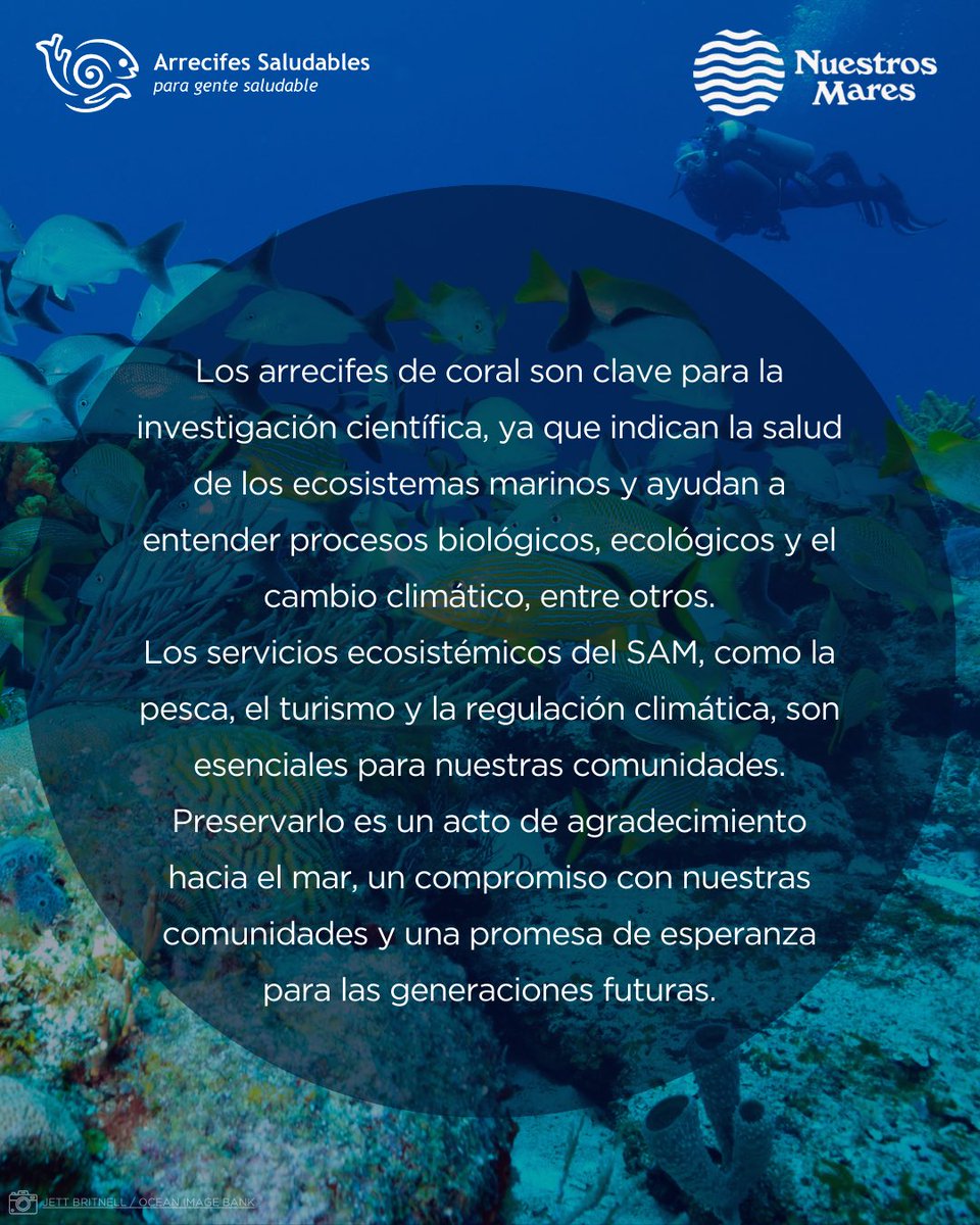 HealthyReefs's tweet photo. https://t.co/hol16D1JTD