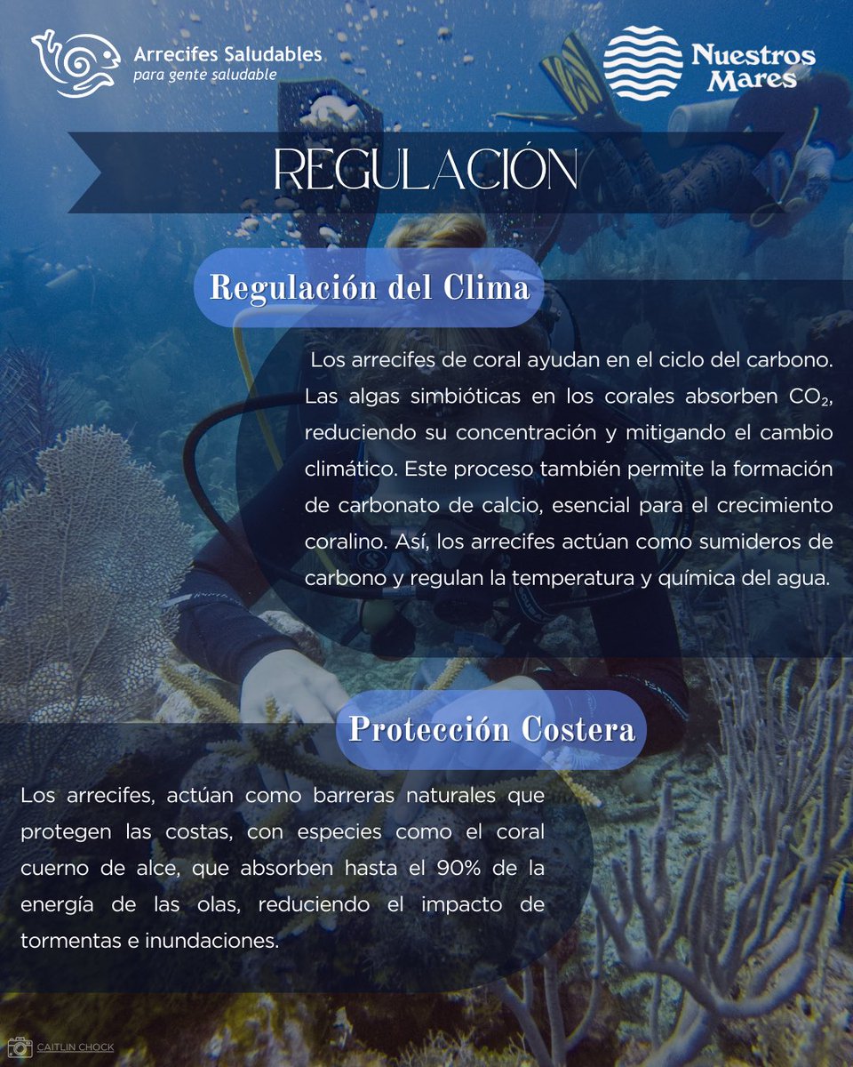 HealthyReefs's tweet photo. ¿Sabes qué son los servicios ecosistémicos y cuáles nos brinda el #ArrecifeMesoamericano? En Arrecifes Saludables para Gente Saludable y Nuestros Mares queremos que conozcas más sobre ellos y los beneficios que nos brindan. https://t.co/TeiZgkYbLU
