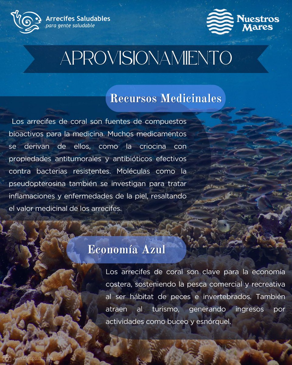 HealthyReefs's tweet photo. ¿Sabes qué son los servicios ecosistémicos y cuáles nos brinda el #ArrecifeMesoamericano? En Arrecifes Saludables para Gente Saludable y Nuestros Mares queremos que conozcas más sobre ellos y los beneficios que nos brindan. https://t.co/TeiZgkYbLU