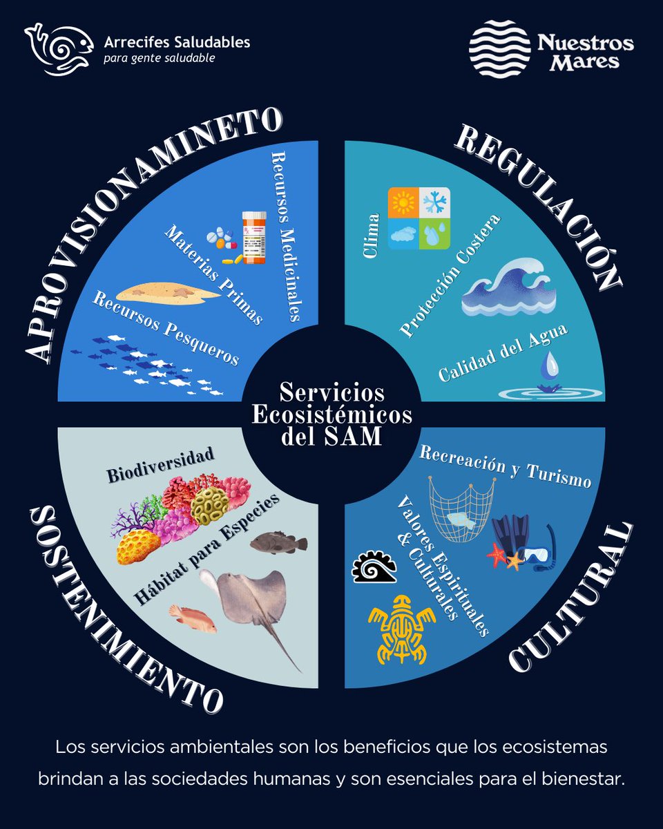 HealthyReefs's tweet photo. ¿Sabes qué son los servicios ecosistémicos y cuáles nos brinda el #ArrecifeMesoamericano? En Arrecifes Saludables para Gente Saludable y Nuestros Mares queremos que conozcas más sobre ellos y los beneficios que nos brindan. https://t.co/TeiZgkYbLU