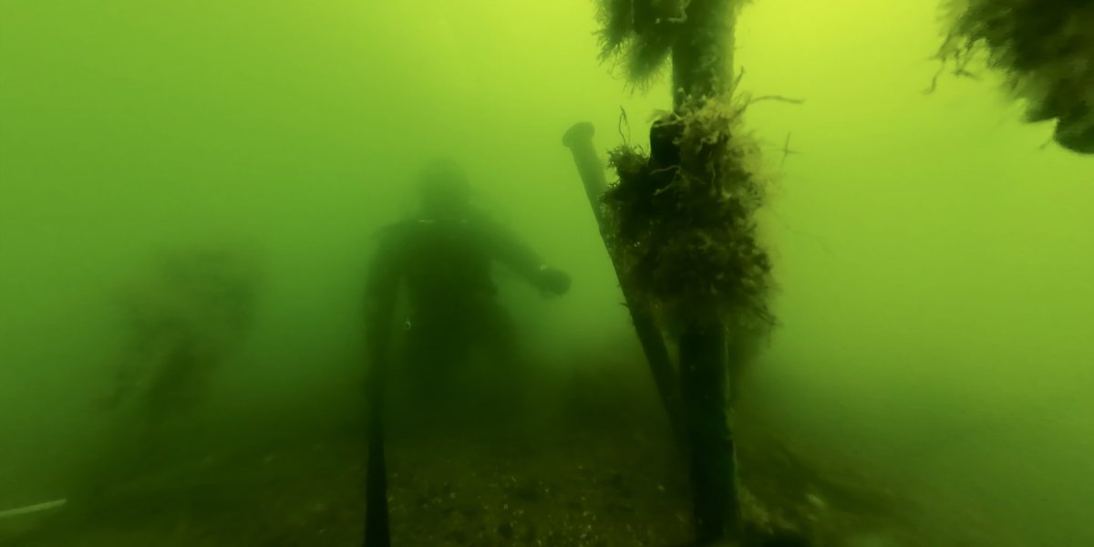 Don’t forget to tune into <a href="/BBCTwo/">BBC Two</a> at 19:00 with Prof Jon Adams and #villagesbythesea #bucklershard #beaulieu <a href="/UoSMedia/">University of Southampton News</a> <a href="/UoSShipwrecks/">Shipwrecks</a> <a href="/sotonarch/">Archaeology | Southampton</a> 
bbc.co.uk/programmes/p0k…