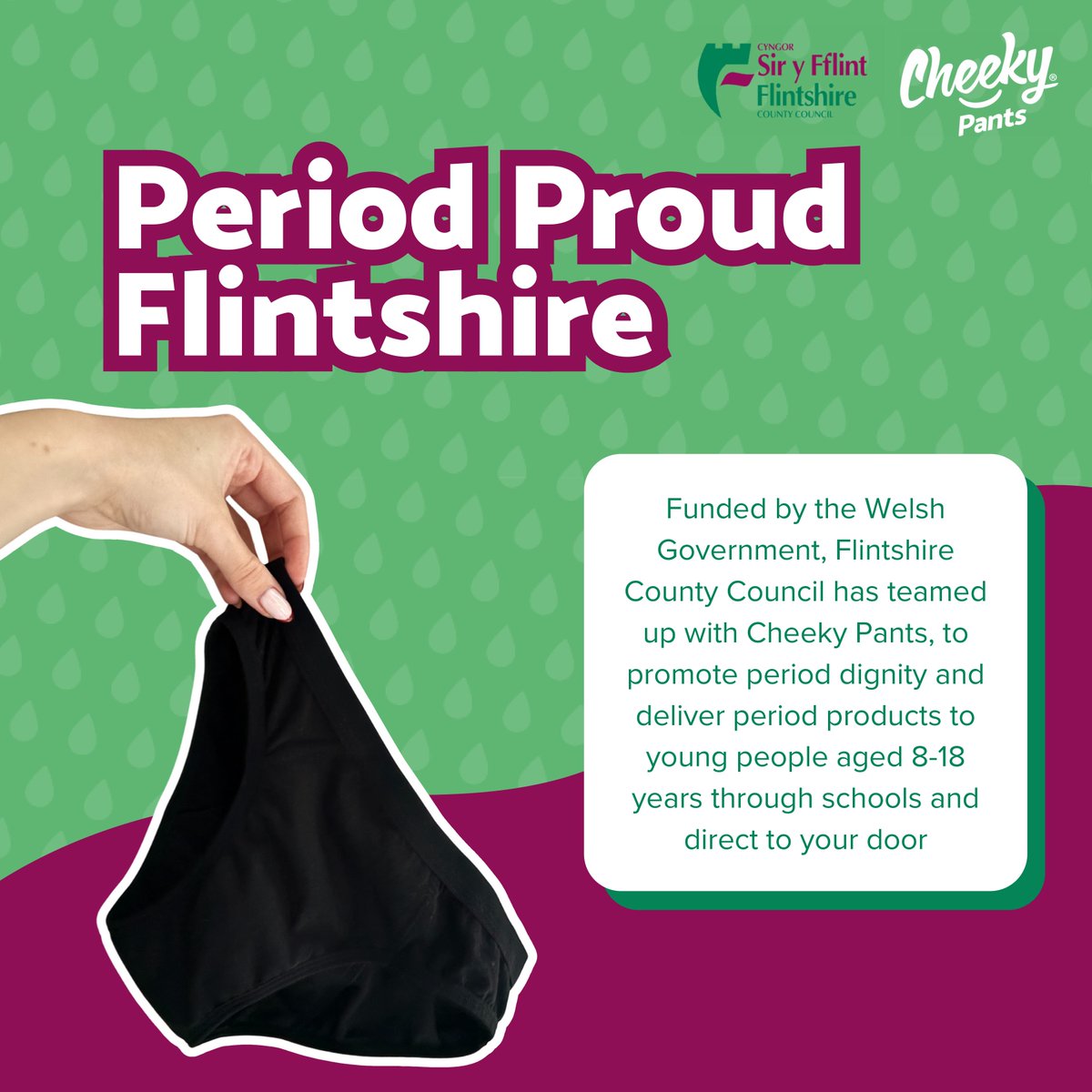 If you are aged 8-18 years and attend a school in Flintshire, please visit cheekywipes.com/flintshire.html to apply for free period products.