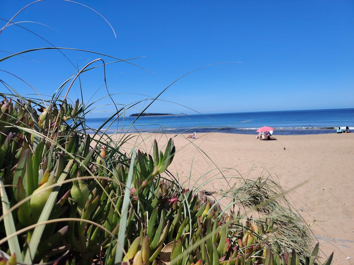 Frecuencia Abierta en Pda. 23 de Playa Mansa
@realtokcomunidad
@incognitamultimedia
<a href="/_el_matto/">👽🇺🇾 El Matto 🇺🇾👽</a>
@frecuenciaabierta_
#PuntadelEste
#Maldonado
#uruguaynatural🇺🇾