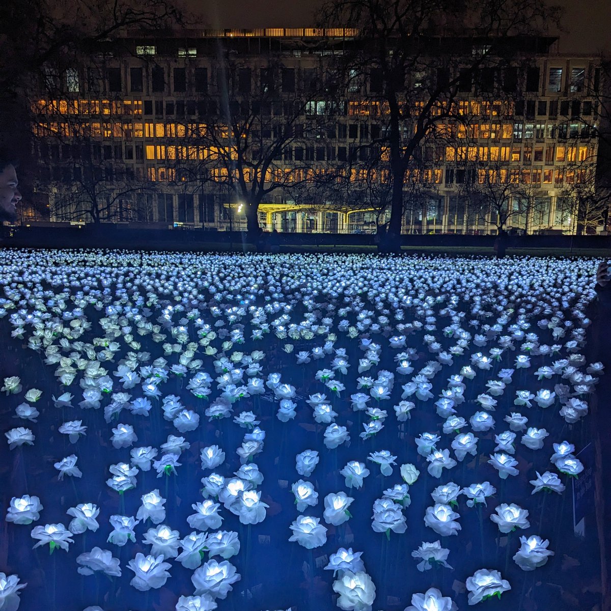 The Ever After Garden in Grosvenor Square (until 18th December, 3-9pm, free) is a stunning &amp; Insta-friendly installation that’s now an annual feature &amp; raises money for charity - as visitors can buy and dedicate one of the light-up roses to benefit <a href="/royalmarsden/">The Royal Marsden Cancer Charity</a> #LondonArtCritic