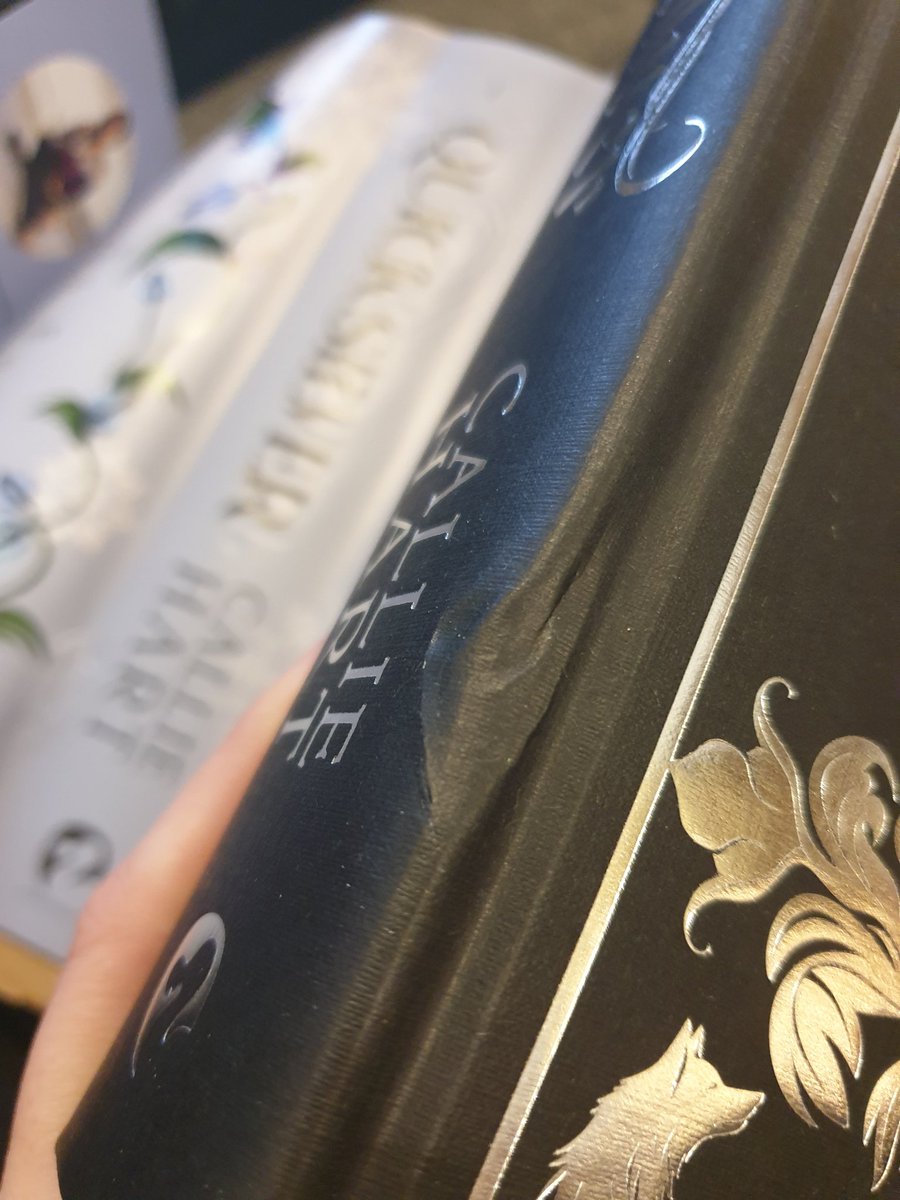 Malloch_books tweet media