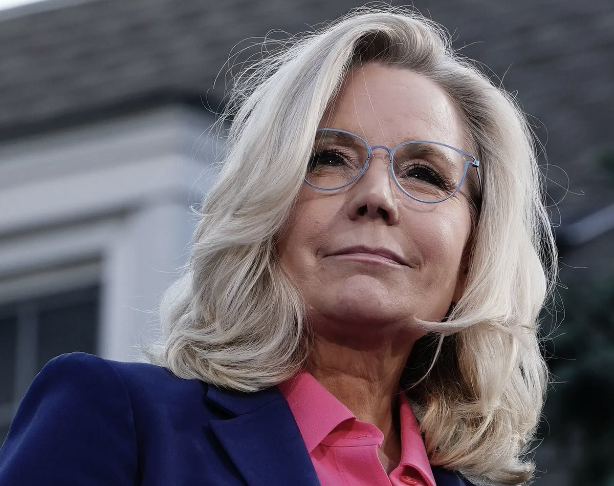 Liz Cheney: Trump attempted to overturn the 2020 presidential election and seize power. He mobilized an angry mob and sent them to the United States Capitol

We stand with Liz 

Drop a 💙