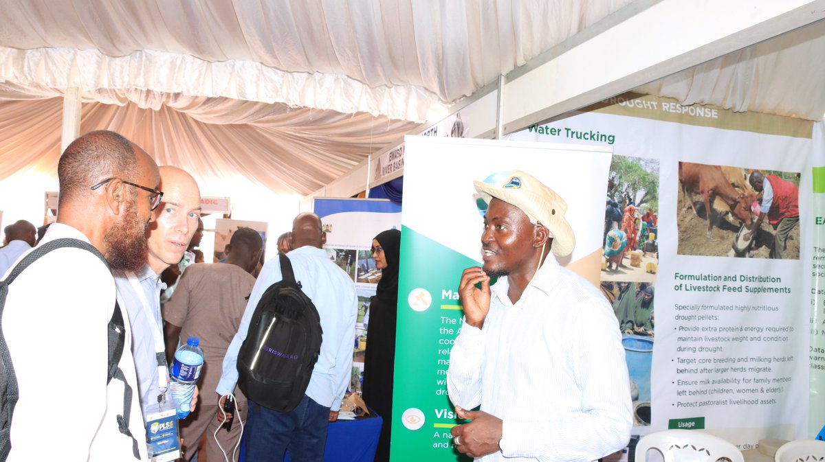 interventions include: Developing policy on feedlots Establishing water infrastructure to facilitate dryland development. Constructing mega dams enabling local pastoralists to produce their own food and Promoting fodder production and storage.
