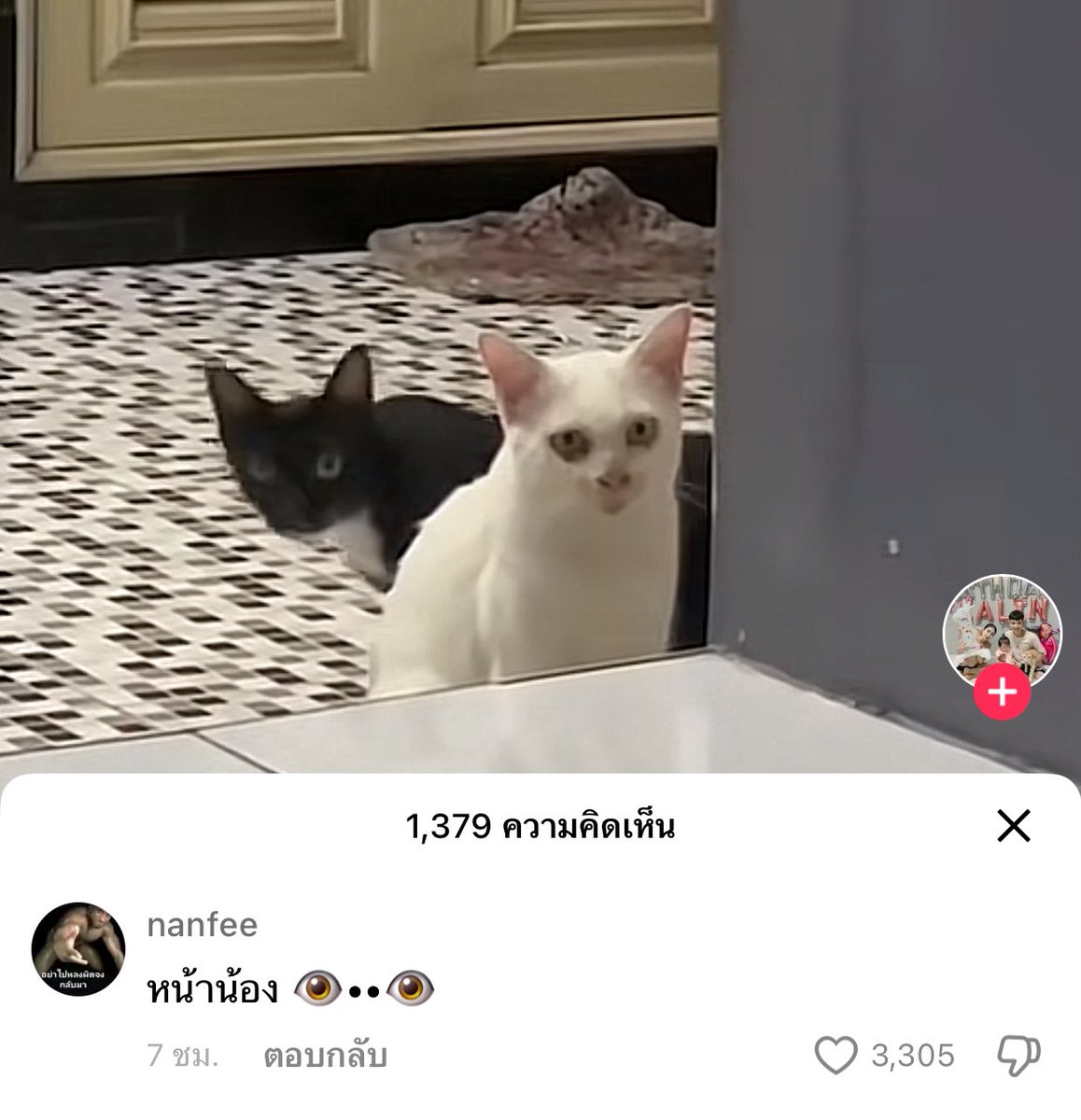 กุจะบ้า5555555555555