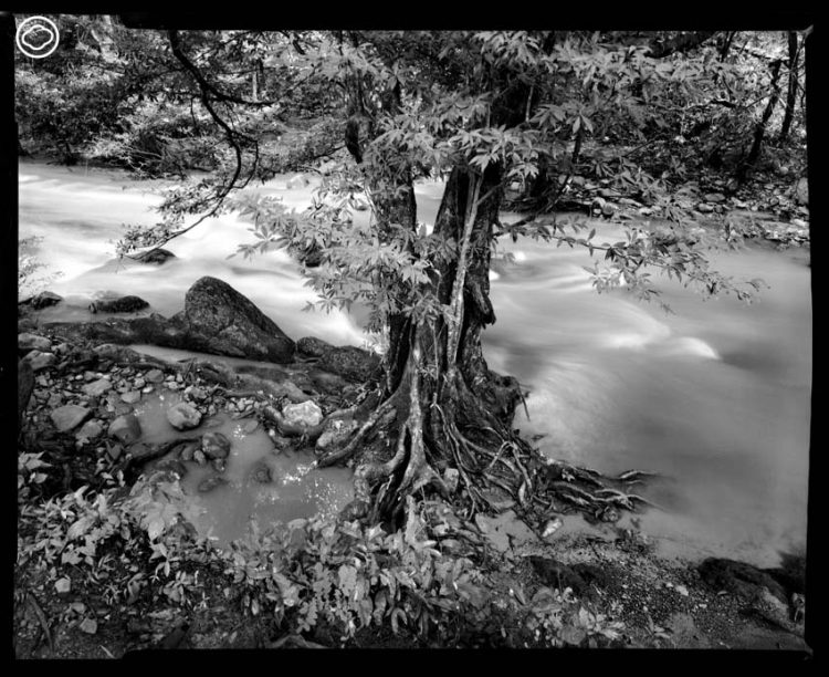 readthecloud's tweet image. คอลัมน์ #LifeonEarth คราวนี้ นัท สุมนเตมีย์ นำเอากล้องฟิล์มอย่าง #LargeFormat ออกมาโลดเล่นในรอบ 20 ปี ที่น้ำตกเขาสอยดาวตลอด 2 วัน 2 คืน แล้วเขาได้เรียนรู้อะไรบ้าง ติดตามได้ใน readthecloud.co/precious-shutt…